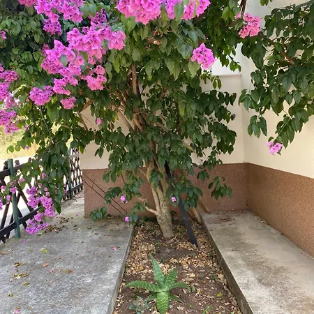 Bari Apartamento *