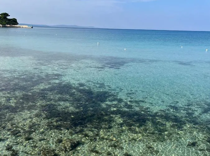 Bari Апартаменты Петрчане