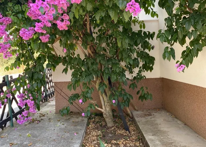 Bari Апартаменты *